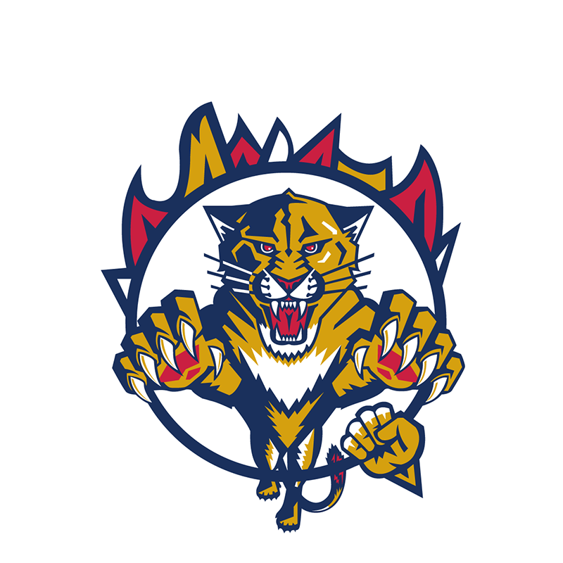 Florida Panthers Entertainment logo iron on transfers